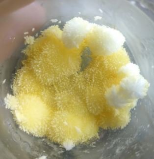 where to get dmt